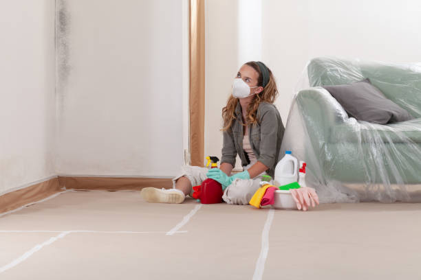 Reliable Mold Remediation contractor in Metuchen, NJ by Mold Remediation HQ
